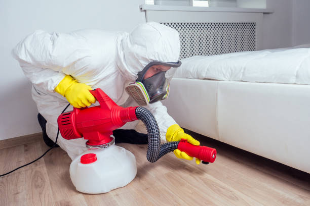 Best Pest Prevention Services  in Bull Shoals, AR